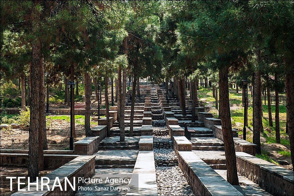 نهمین دوره همی عکاسی تهرانگردی‎ در سال 95