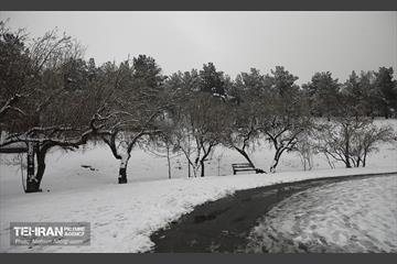 روز برفی تهران - 2 27
