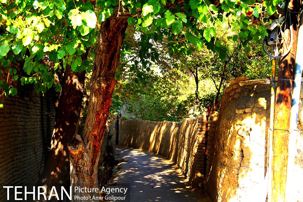 گذری در کوچه پس کوچه های محله کن‎ 30
