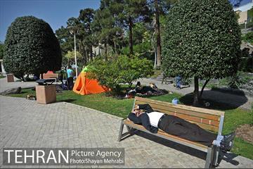 روز طبیعت در بوستان ساعی 6