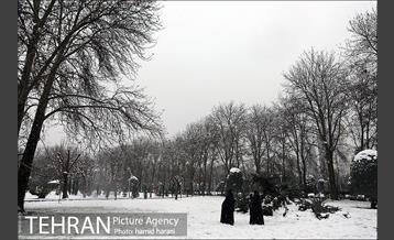 روز برفی بلوار کشاورز 11