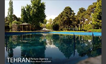 بوستان های خیابان ولیعصر 25