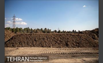 تولید کود کمپوست در پارک جنگلی آزادشهر 17