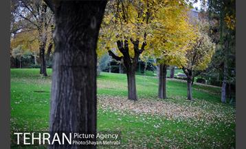 پاییز در بوستان ملت 40