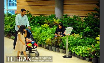 هشتمین نمایشگاه گل و گیاه تهران 25