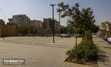 به وقت خدمت؛ باغ‌راه حضرت زهرا(س) محدوده امامزاده حسن (ع) 23