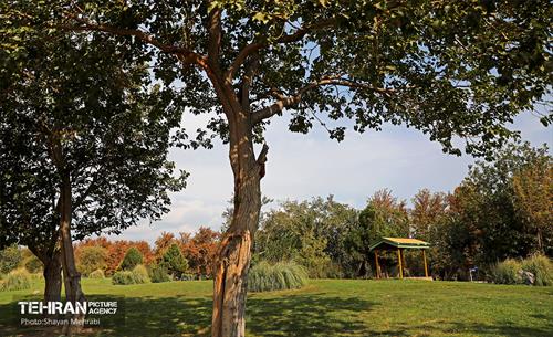 بوستان قائم 29