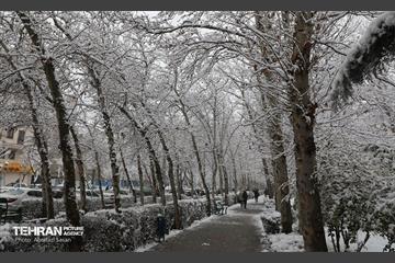 روز برفی در منطقه 8