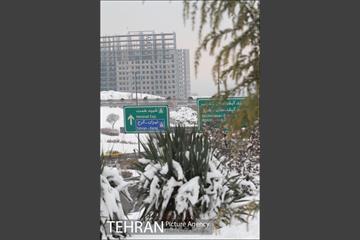 بارش برف در تهران 3