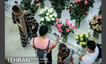 هفدهمین نمایشگاه بین‌المللی گل و گیاه 12