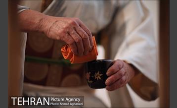 شکوفه های گیلاس و افسانه گنجی در موزه امام علی 2 2