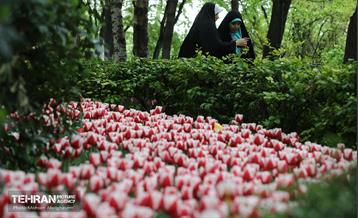 به وقت اردیبهشت؛ باغ ایرانی 8