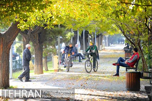 طبیعت پاییزی بلوار کشاورز 2