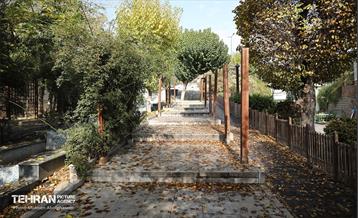 طبیعت پاییزی باغ راه فدک تهران 42