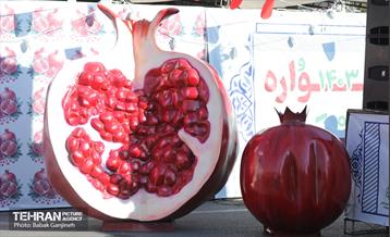 آیین یلدای مهربانی و کاشت نهال در بوستان سرخه حصار 7