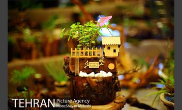 هشتمین نمایشگاه گل و گیاه تهران 21