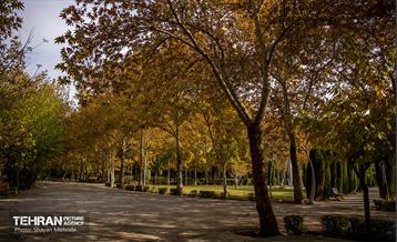 سمفونی رنگ های پاییزی - پارک لاله 26