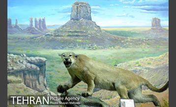 موزه حیات وحش پردیسان 5