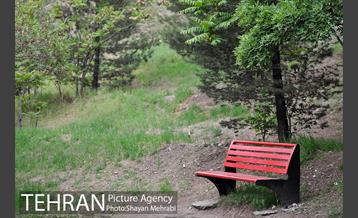 پارک جنگلی لویزان‎ 11