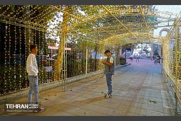 بوستان قائم 7