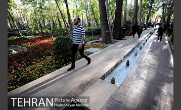 رویش گل های لاله در باغ ایرانی 2