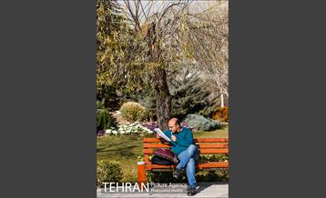 بوستان پرواز 38