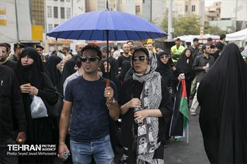 تشییع پیکر شهید اسماعیل هنیه در تهران - 3 16