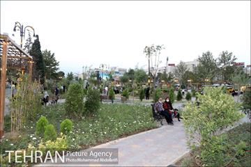 بازپیرایی بوستان قمربنی هاشم(ع)در شب میلاد امام رضا(ع) 17