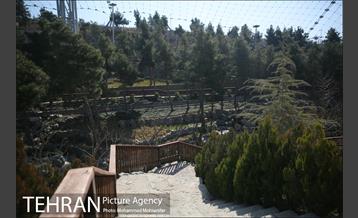 افتتاح پروژه های شهرداری منطقه ۴ 19