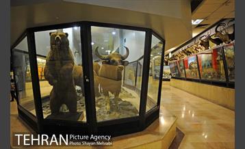 موزه حیات وحش پردیسان 21