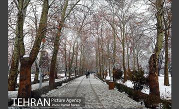 روز برفی بلوار کشاورز 7
