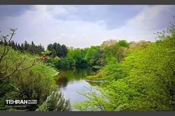 باغ گیاه‌شناسی 26