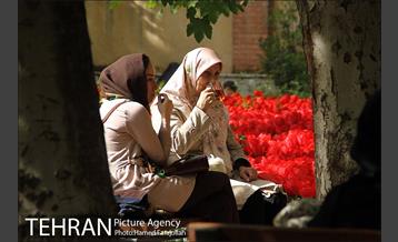 لاله های بهاری بوستان مختاری 19