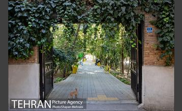 بوستان هورفر 1