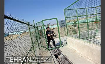 نقاهتگاه سگ های بدون صاحب واقع در آراد کوه 40