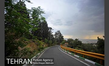 پارک جنگلی لویزان‎ 31