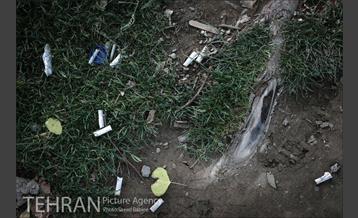 فیلتر سیگار زباله است 18