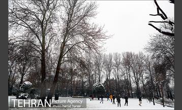 روز برفی بلوار کشاورز 10