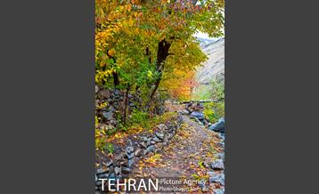 طبیعت پاییزی روستای سنگان 17