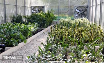 افتتاح پروژه‌های منطقه ۱۴ 20