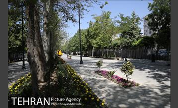 گذر پیاده راه استاد شهریار 13