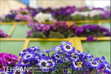 گل آرایی پل سیدخندان 10