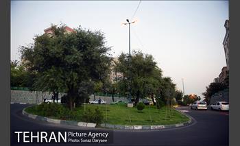 محله گیشا  29
