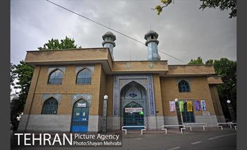 پارک جنگلی لویزان‎ 39