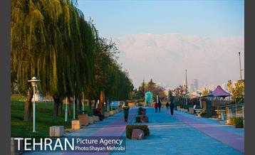 پاییز اراضی عباس آباد 22