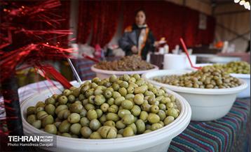 جشنواره زمستان داغ  12