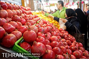 بازدید شهردار تهران از بازار میوه و تره بار جلال آل احمد 10