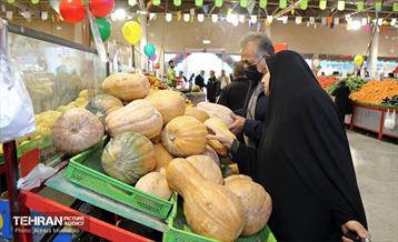 بازدید مدیرعامل سازمان تره‌وبار از میادین میوه 17