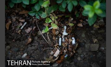 فیلتر سیگار زباله است 11