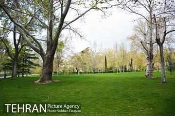 روز طبیعت متفاوت شهر تهران-1 17